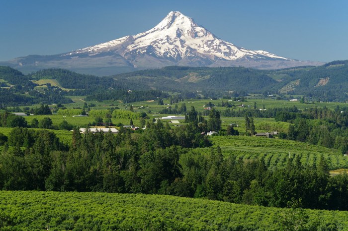 Mt hood rainier st helens adams aerial smithsonian contest magazine distance shot 8th annual natural