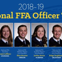 Ffa officer positions in order