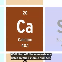 Periodic table brainpop activity using preview