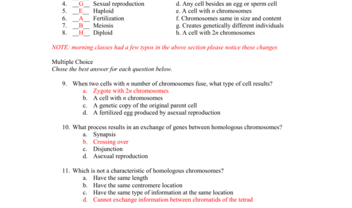 Meiosis review worksheet answer key pdf