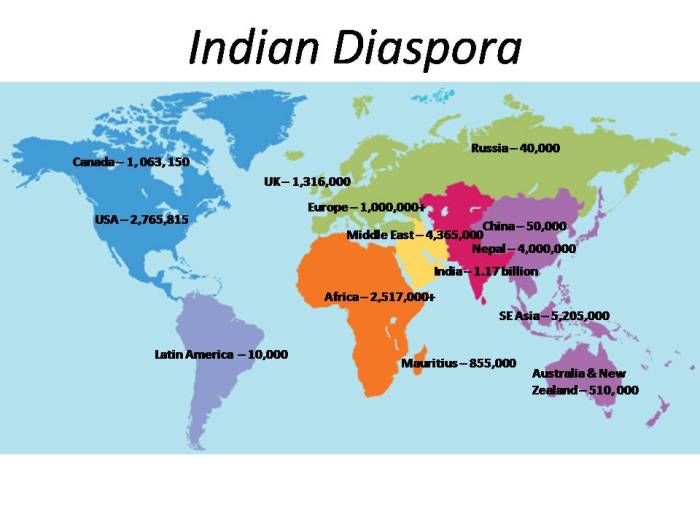 Indian diaspora ap world history