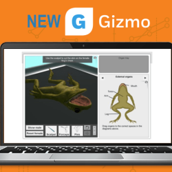 Frog dissection gizmo answer key