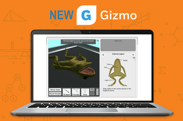 Frog dissection gizmo answer key