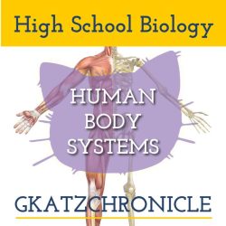 Pdf muscular skeletal biology worksheet systems