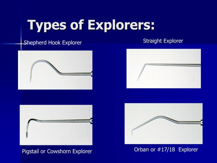 Probes explorer dg16 williams